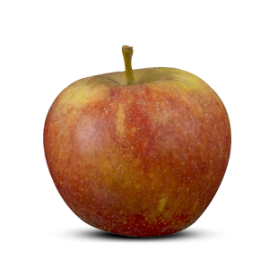 pippin.essenet.co.uk